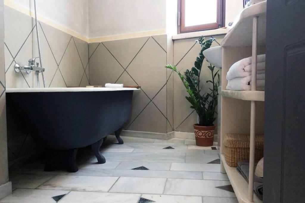 אתונה Unique - Spacious Studio With Rooftop / Thissio מראה חיצוני תמונה