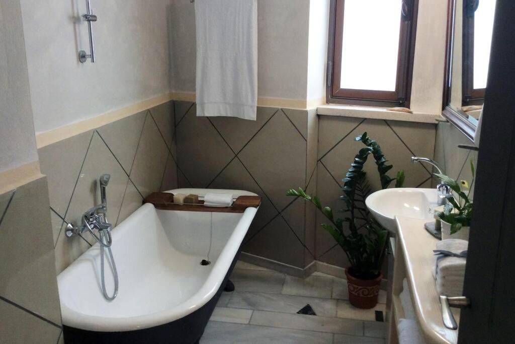 אתונה Unique - Spacious Studio With Rooftop / Thissio מראה חיצוני תמונה
